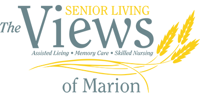 Views of Marion Logo
